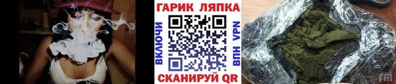 ГАШ Premium  Алексеевка 