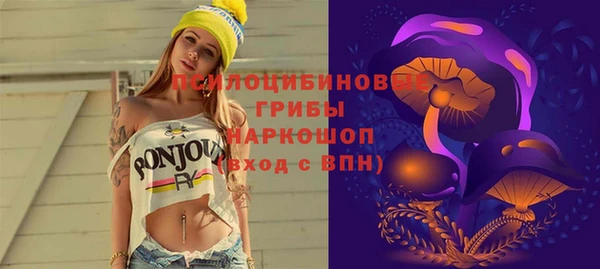 мяу мяу мука Алзамай