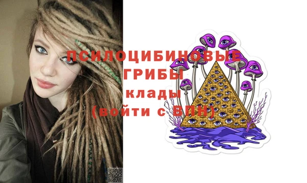 мяу мяу мука Алзамай