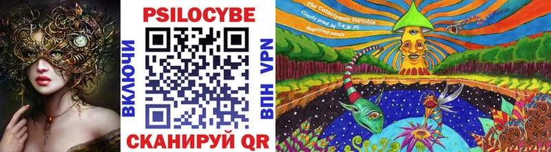 Псилоцибиновые грибы Psilocybine cubensis  Алексеевка 