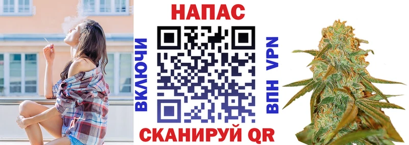 Шишки марихуана сатива наркота Алексеевка